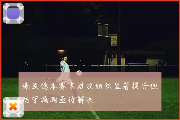 谢泼德本赛季进攻组织显著提升但防守漏洞亟待解决