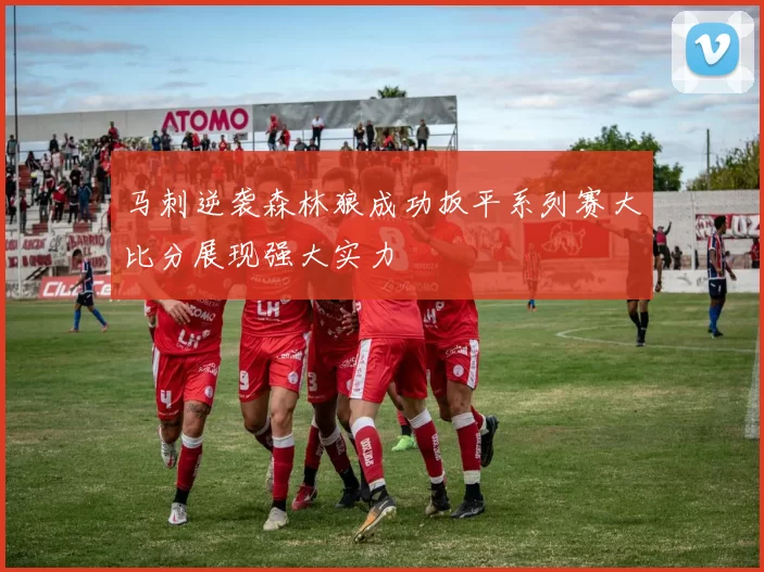 马刺逆袭森林狼成功扳平系列赛大比分展现强大实力