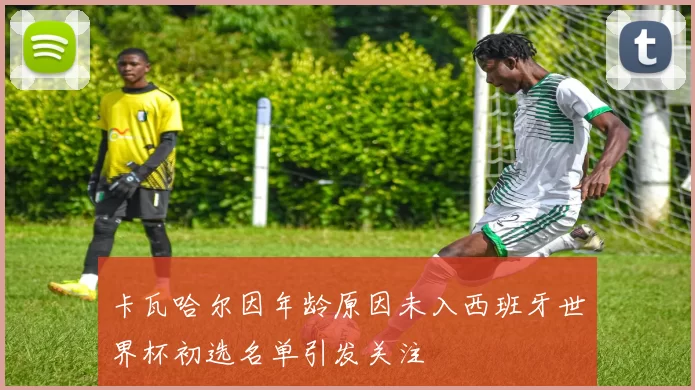 卡瓦哈尔因年龄原因未入西班牙世界杯初选名单引发关注